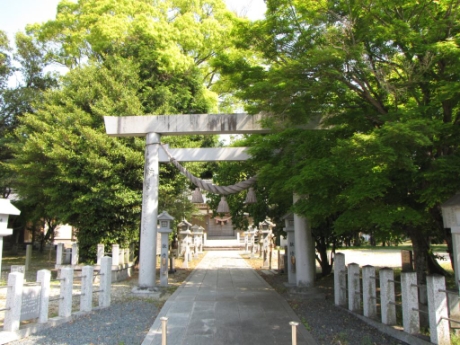 画像8